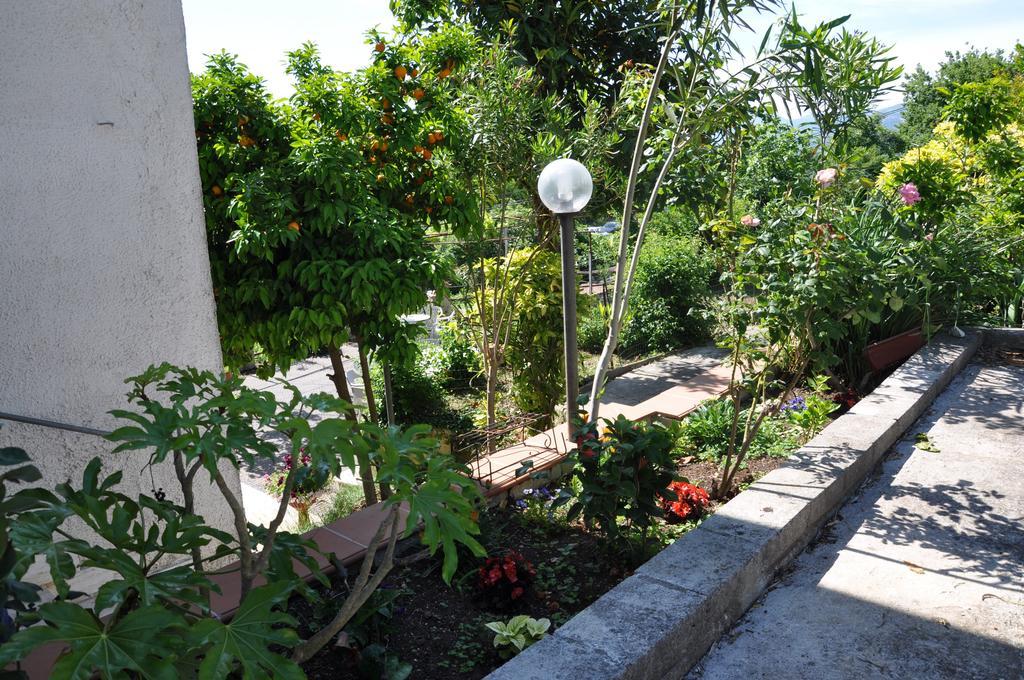 B&B La Palombara Giuliano di Roma Εξωτερικό φωτογραφία